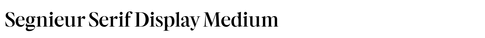 Segnieur Serif Display Medium image